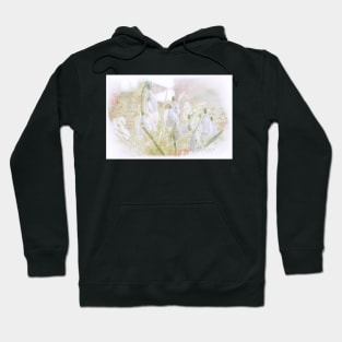 Schneeglöckchen Hoodie